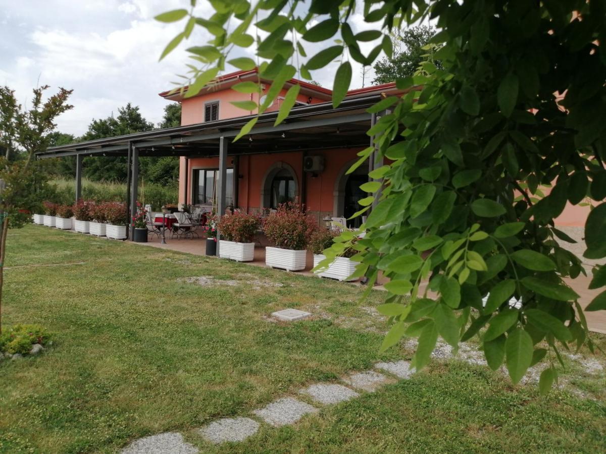 Salisu Country House Guest House Mignano Monte Lungo Exterior photo